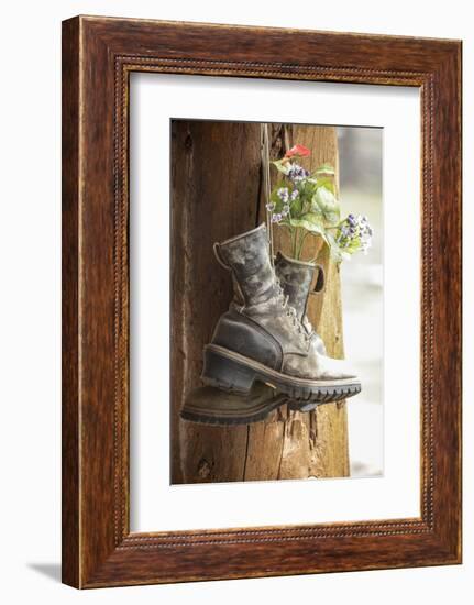 Old boots used a decoration, Pagosa Springs, Colorado, USA.-Julien McRoberts-Framed Photographic Print