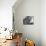 Old Brick Farmhouse-Alfred Eisenstaedt-Photographic Print displayed on a wall