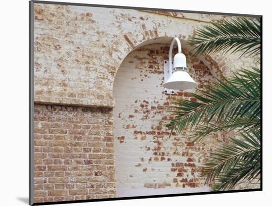 Old Brick Wall with Palm Trees, Key West, Florida Keys, Florida, USA-Terry Eggers-Mounted Photographic Print