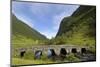 Old Bridge, Ytredalen, Sogn Og Fjordane, Norway, Scandinavia, Europe-Gary Cook-Mounted Photographic Print