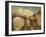 Old Bridge-George Balmer-Framed Giclee Print