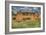 Old Building-Nathan Wright-Framed Photographic Print