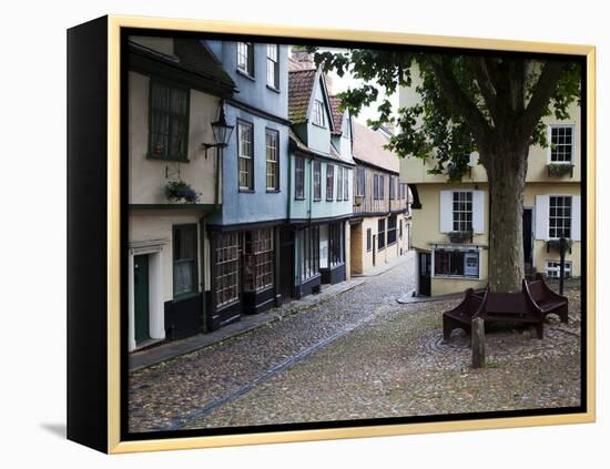 Old Buildings on Elm Hill, Norwich, Norfolk, England, United Kingdom, Europe-Mark Sunderland-Framed Premier Image Canvas