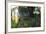 Old Bus in Woodland-Clive Nolan-Framed Photographic Print