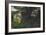 Old Bus in Woodland-Clive Nolan-Framed Photographic Print