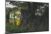 Old Bus in Woodland-Clive Nolan-Mounted Photographic Print