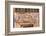 Old Cairo, Cairo, Egypt. Carved decoration on a weathered antique door.-Emily Wilson-Framed Photographic Print