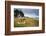 Old cannons on the shore of Stanley, capital of the Falkland Islands, South America-Michael Runkel-Framed Photographic Print