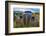 Old Car Rusting Away in a Ghost Town, Bodie, California-George Oze-Framed Photographic Print