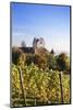 Old Castle in Autumn, Meersburg, Lake Constance (Bodensee), Baden Wurttemberg, Germany, Europe-Markus Lange-Mounted Photographic Print