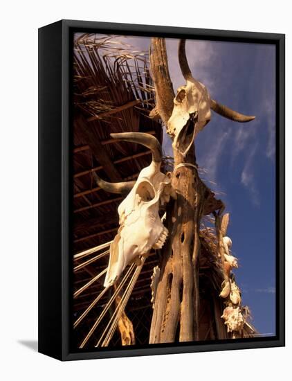 Old Cattle Skulls, Todos Santos, Baja, Mexico-Walter Bibikow-Framed Premier Image Canvas