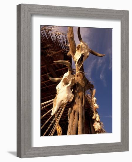 Old Cattle Skulls, Todos Santos, Baja, Mexico-Walter Bibikow-Framed Photographic Print