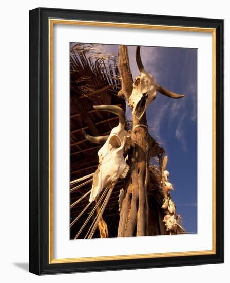 Old Cattle Skulls, Todos Santos, Baja, Mexico-Walter Bibikow-Framed Photographic Print