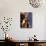 Old Cattle Skulls, Todos Santos, Baja, Mexico-Walter Bibikow-Photographic Print displayed on a wall