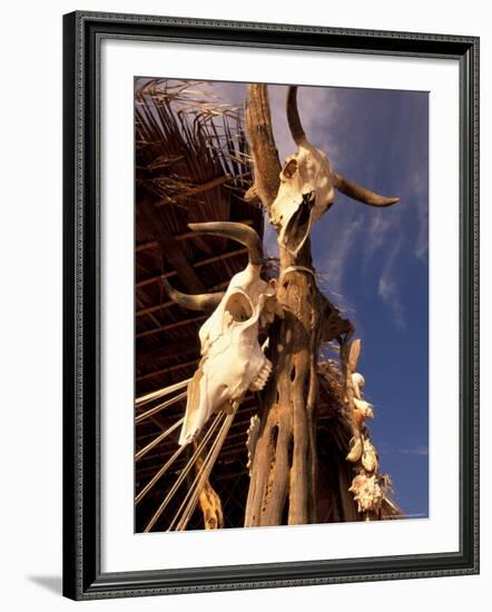 Old Cattle Skulls, Todos Santos, Baja, Mexico-Walter Bibikow-Framed Photographic Print