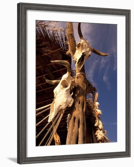 Old Cattle Skulls, Todos Santos, Baja, Mexico-Walter Bibikow-Framed Photographic Print