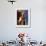 Old Cattle Skulls, Todos Santos, Baja, Mexico-Walter Bibikow-Framed Photographic Print displayed on a wall