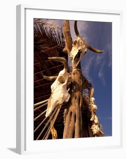 Old Cattle Skulls, Todos Santos, Baja, Mexico-Walter Bibikow-Framed Photographic Print