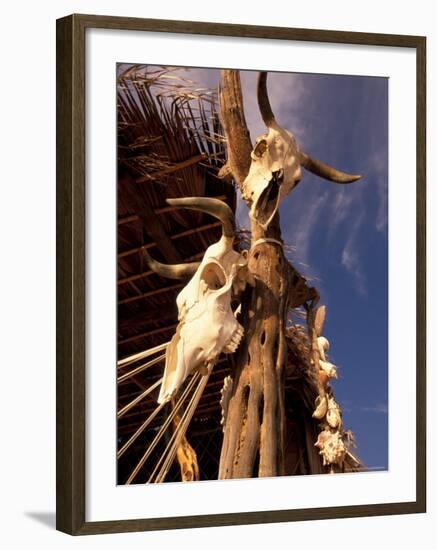 Old Cattle Skulls, Todos Santos, Baja, Mexico-Walter Bibikow-Framed Photographic Print