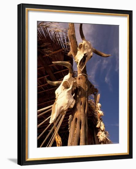 Old Cattle Skulls, Todos Santos, Baja, Mexico-Walter Bibikow-Framed Photographic Print