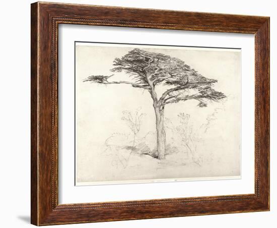 Old Cedar Tree in Botanic Garden, Chelsea, 1854 (Pencil on Paper)-Samuel Palmer-Framed Giclee Print