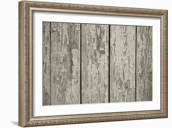 Old Chapped Wooden Neutral Grey Background-Elen33-Framed Art Print