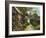 Old Church Path-Dominic Davison-Framed Art Print