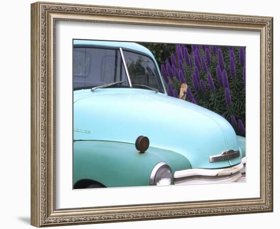 Old Classic Plymouth, California, USA-Bill Bachmann-Framed Photographic Print