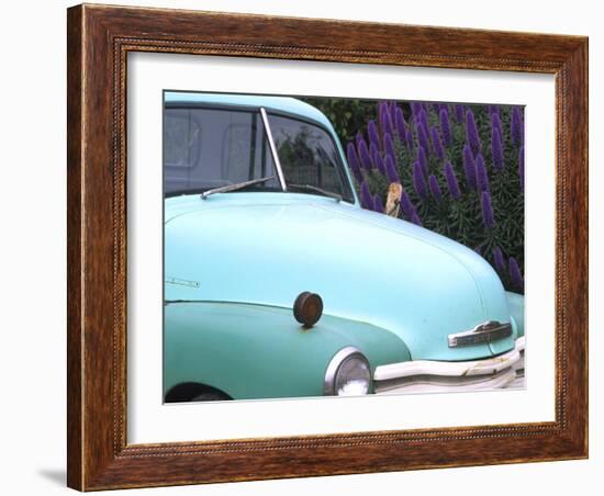 Old Classic Plymouth, California, USA-Bill Bachmann-Framed Photographic Print