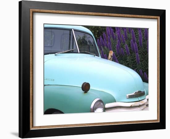Old Classic Plymouth, California, USA-Bill Bachmann-Framed Photographic Print