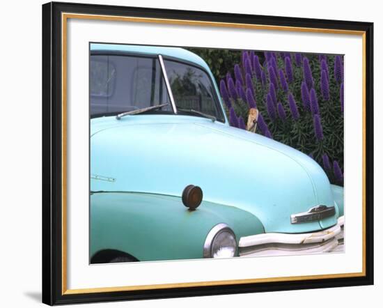 Old Classic Plymouth, California, USA-Bill Bachmann-Framed Photographic Print