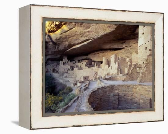 Old Cliff Dwellings and Cliff Palace in the Mesa Verde National Park, Colorado, USA-Gavin Hellier-Framed Premier Image Canvas