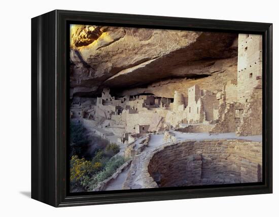 Old Cliff Dwellings and Cliff Palace in the Mesa Verde National Park, Colorado, USA-Gavin Hellier-Framed Premier Image Canvas