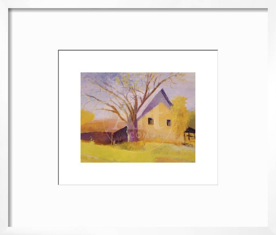 Old Cotton Barn Beech Island South Carolina Framed Art Print By