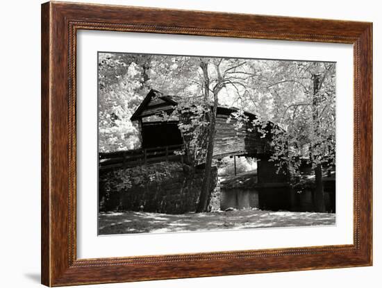 Old Covered Bridge I-Alan Hausenflock-Framed Photographic Print