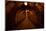 Old Dark Red Tunnel-Zholobov Vadim-Mounted Photographic Print