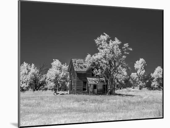 Old deserted farm house with plow-Michael Scheufler-Mounted Photographic Print