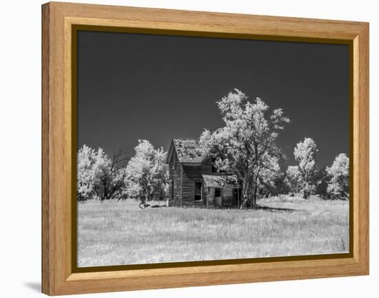 Old deserted farm house with plow-Michael Scheufler-Framed Premier Image Canvas