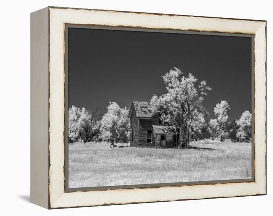 Old deserted farm house with plow-Michael Scheufler-Framed Premier Image Canvas