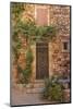 Old Door and House Facade in the Provence-Andrea Haase-Mounted Photographic Print