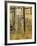 Old Door in Homestead Fence, Montana, USA-Nancy Rotenberg-Framed Photographic Print