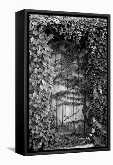 Old Doorway, Cruzy, Languedoc-Roussillon, France-null-Framed Premier Image Canvas