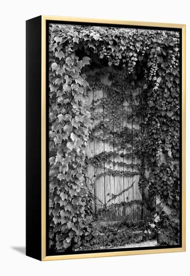 Old Doorway, Cruzy, Languedoc-Roussillon, France-null-Framed Premier Image Canvas