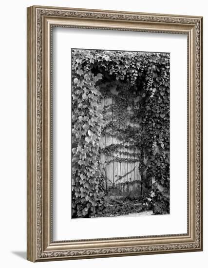 Old Doorway, Cruzy, Languedoc-Roussillon, France-null-Framed Photographic Print