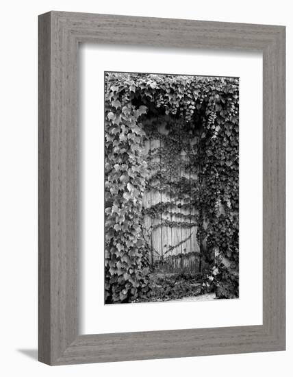 Old Doorway, Cruzy, Languedoc-Roussillon, France-null-Framed Photographic Print