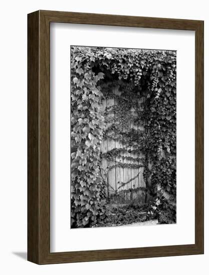 Old Doorway, Cruzy, Languedoc-Roussillon, France-null-Framed Photographic Print