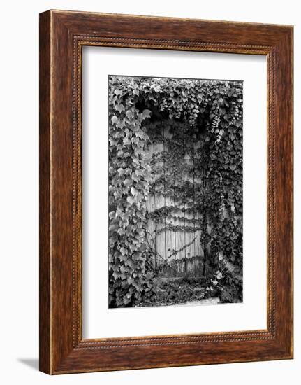 Old Doorway, Cruzy, Languedoc-Roussillon, France-null-Framed Photographic Print