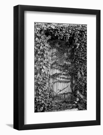 Old Doorway, Cruzy, Languedoc-Roussillon, France-null-Framed Photographic Print