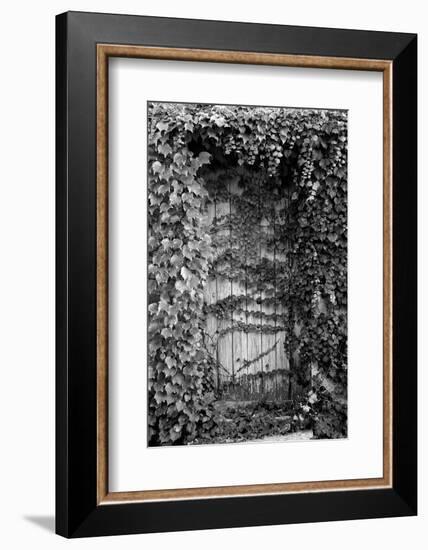 Old Doorway, Cruzy, Languedoc-Roussillon, France-null-Framed Photographic Print