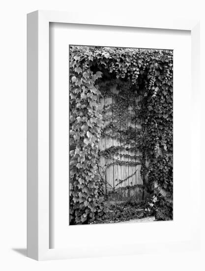 Old Doorway, Cruzy, Languedoc-Roussillon, France-null-Framed Photographic Print